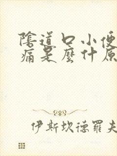 阴道口小便有点痛是么什原因