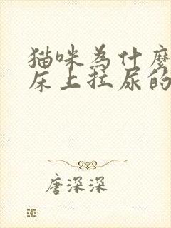 猫咪为什么会在床上拉尿的原因