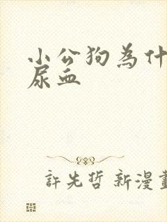 小公狗为什么会尿血