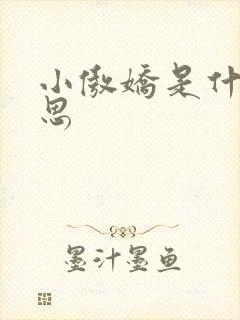 小傲娇是什么意思