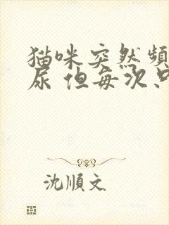 猫咪突然频繁去尿 但每次只尿一点