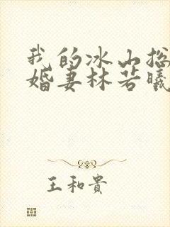 我的冰山总裁未婚妻林若曦