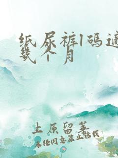 纸尿裤l码适合几个月