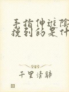 手指伸进阴道里摸到的是什么