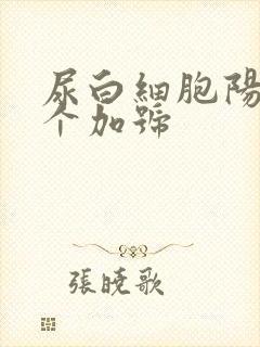 尿白细胞阳性2个加号
