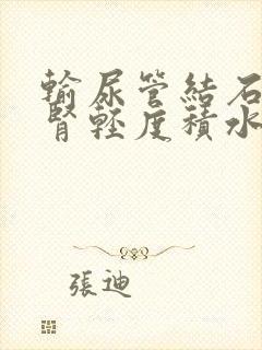 输尿管结石并左肾轻度积水