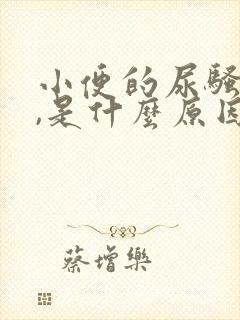 小便的尿骚味大,是什么原因