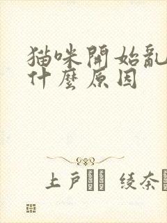 猫咪开始乱尿是什么原因