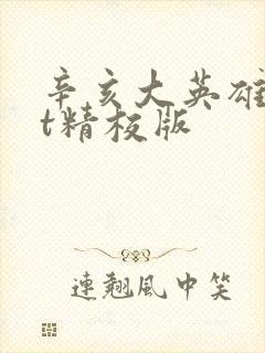 辛亥大英雄txt精校版