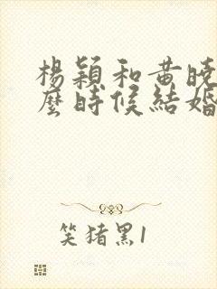 杨颖和黄晓明什么时候结婚的