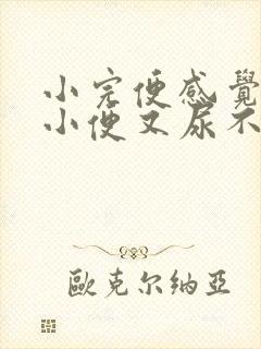 小完便感觉还要小便又尿不出来