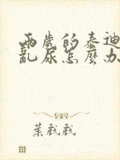 两岁的泰迪狗狗乱尿怎么办