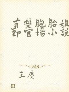 有双胞胎姐妹情节官场小说