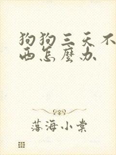 狗狗三天不吃东西怎么办