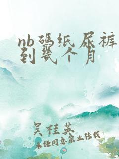 nb码纸尿裤穿到几个月