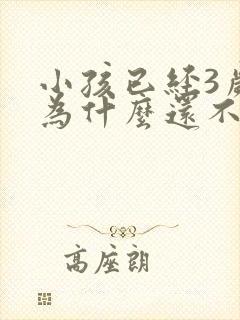 小孩已经3岁了为什么还不会说话