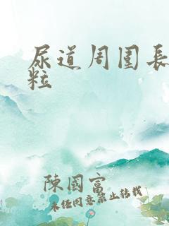 尿道周围长小肉粒