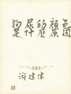 狗尿的颜色很黄是什么原因