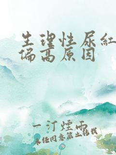 生理性尿红细胞偏高原因