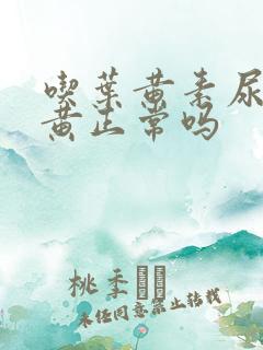 吃叶黄素尿液变黄正常吗