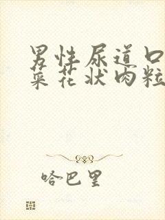 男性尿道口长出菜花状肉粒