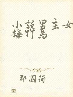 小说男主女主青梅竹马