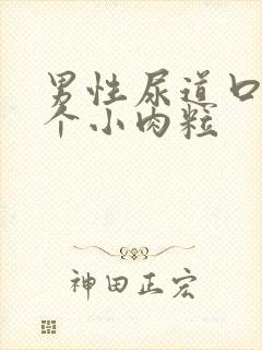 男性尿道口有一个小肉粒