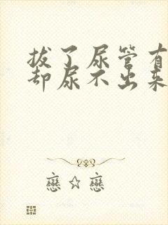 拔了尿管有尿意却尿不出来