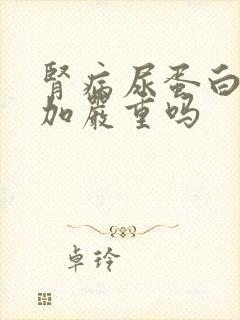 肾病尿蛋白三个加严重吗