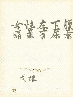 女性左下腹部疼痛并有尿意