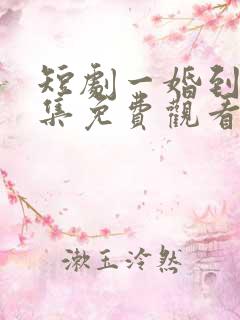 短剧一婚到底全集免费观看