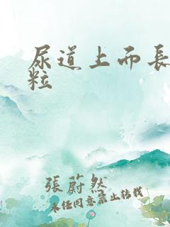 尿道上面长有肉粒