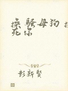 操 骚母狗 操死你