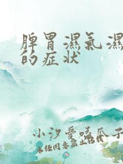 脾胃湿气湿热重的症状