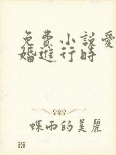 免费小说爱在离婚进行时