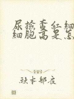 尿检查红细胞白细胞高是怎么回事