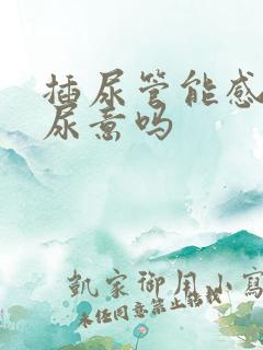 插尿管能感觉到尿意吗