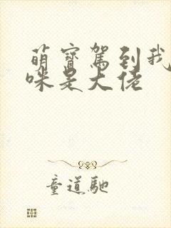 萌宝驾到我的妈咪是大佬