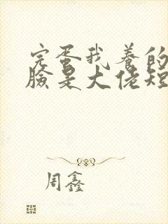 完蛋我养的小白脸是大佬短剧在哪里看