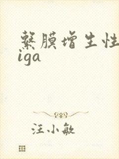 系膜增生性肾病iga