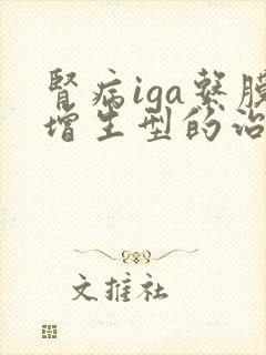 肾病iga系膜增生型的治疗