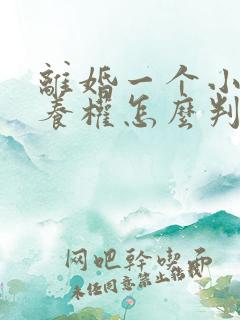 离婚一个小孩抚养权怎么判