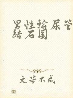 男性输尿管下段结石图