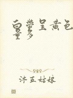 白带呈黄色水状量多