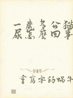 一岁多公猫总乱尿怎么回事