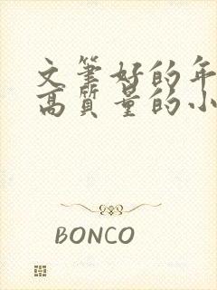 文笔好的年代文高质量的小说