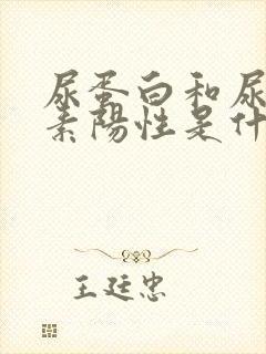 尿蛋白和尿胆红素阳性是什么意思