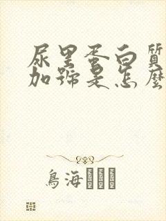 尿里蛋白质2个加号是怎么回事