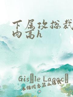 下属攻总裁受纯肉高h