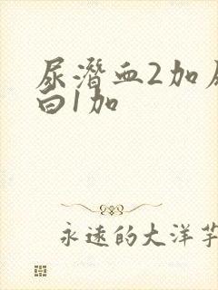 尿潜血2加尿蛋白1加